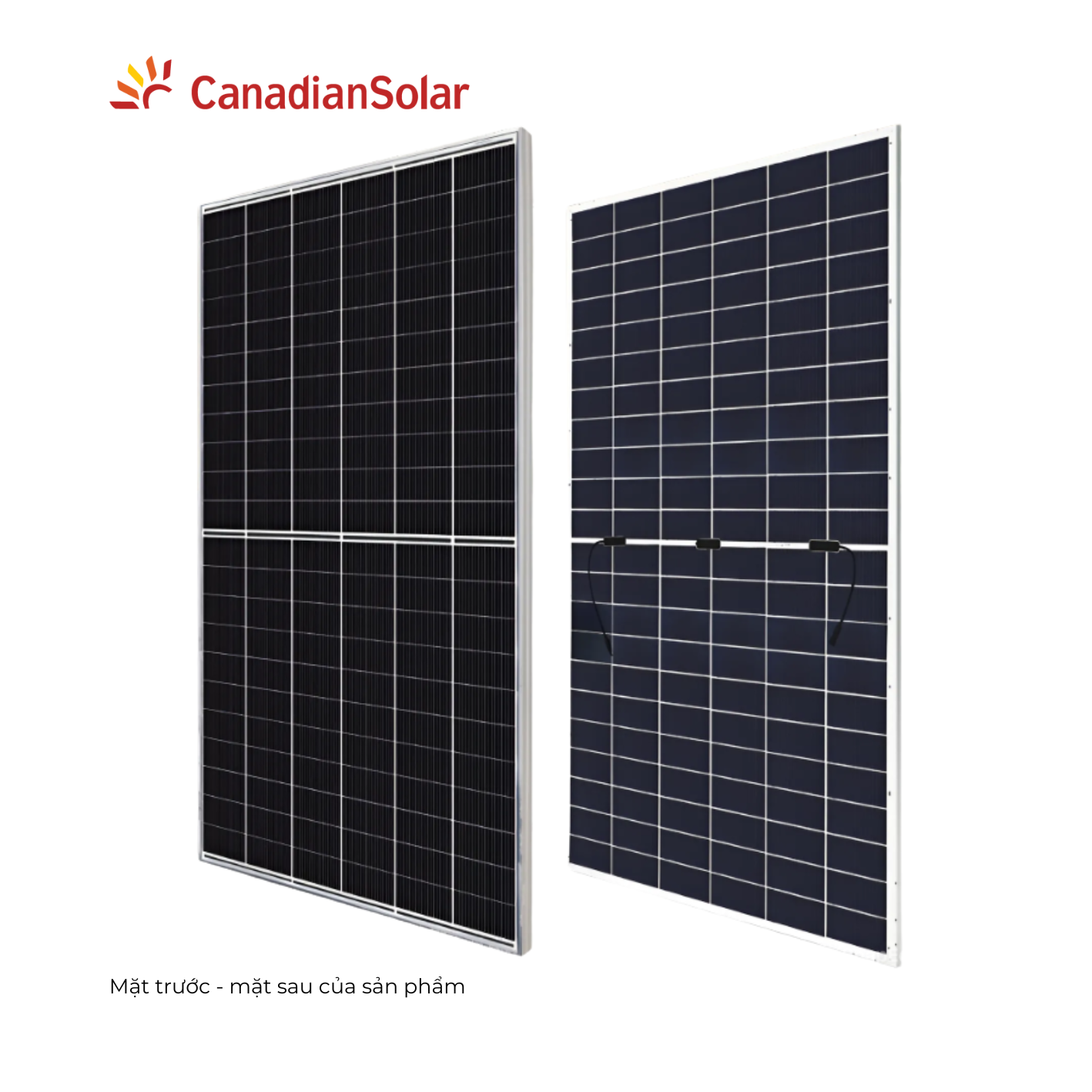 Tấm pin Canadian CS7N 720W