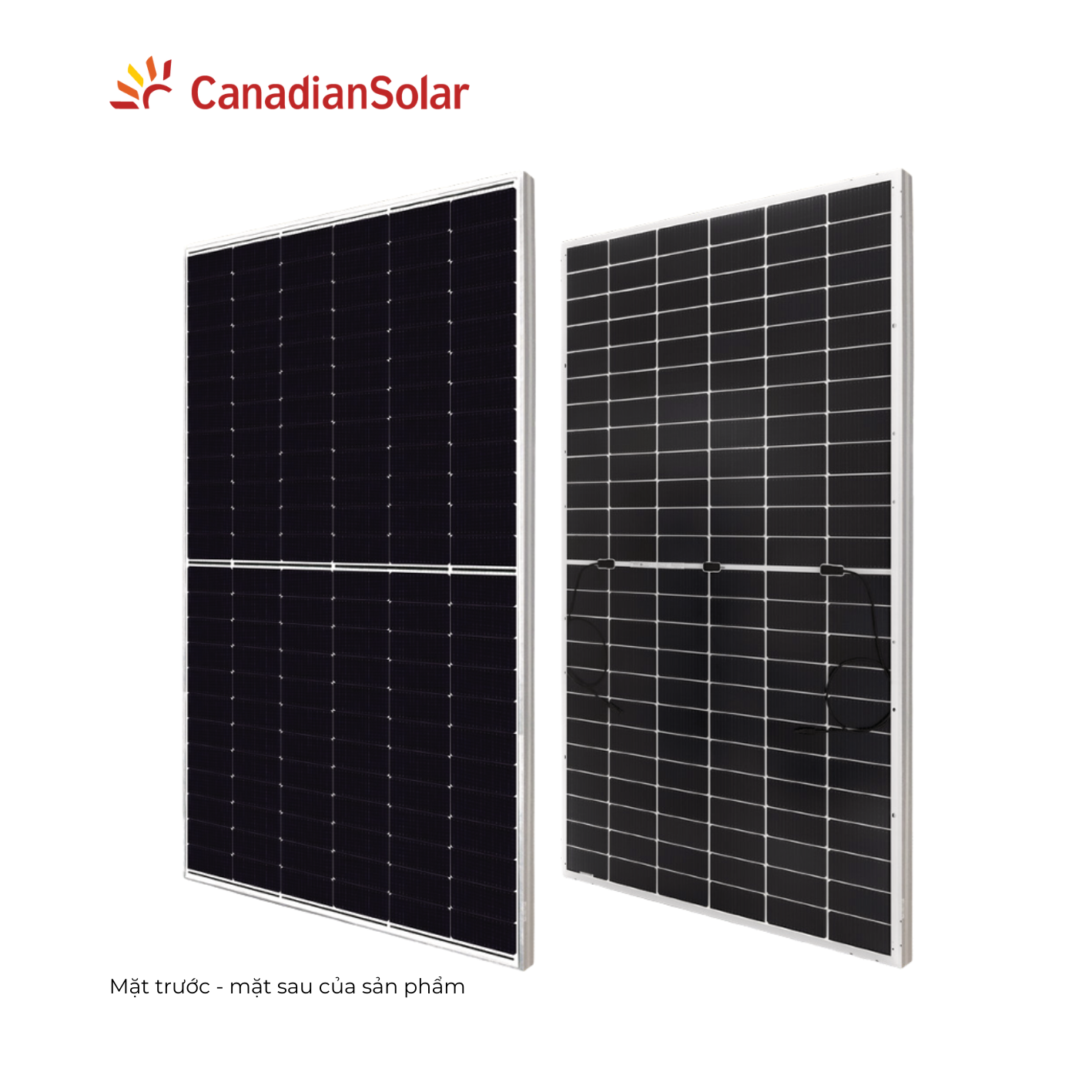 Tấm pin Canadian CS6W 565