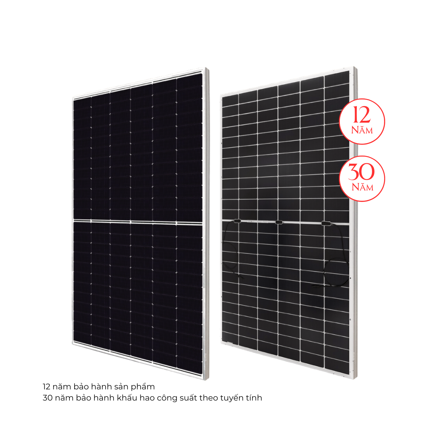 Tấm pin Canadian CS6W 565 - Ảnh 3